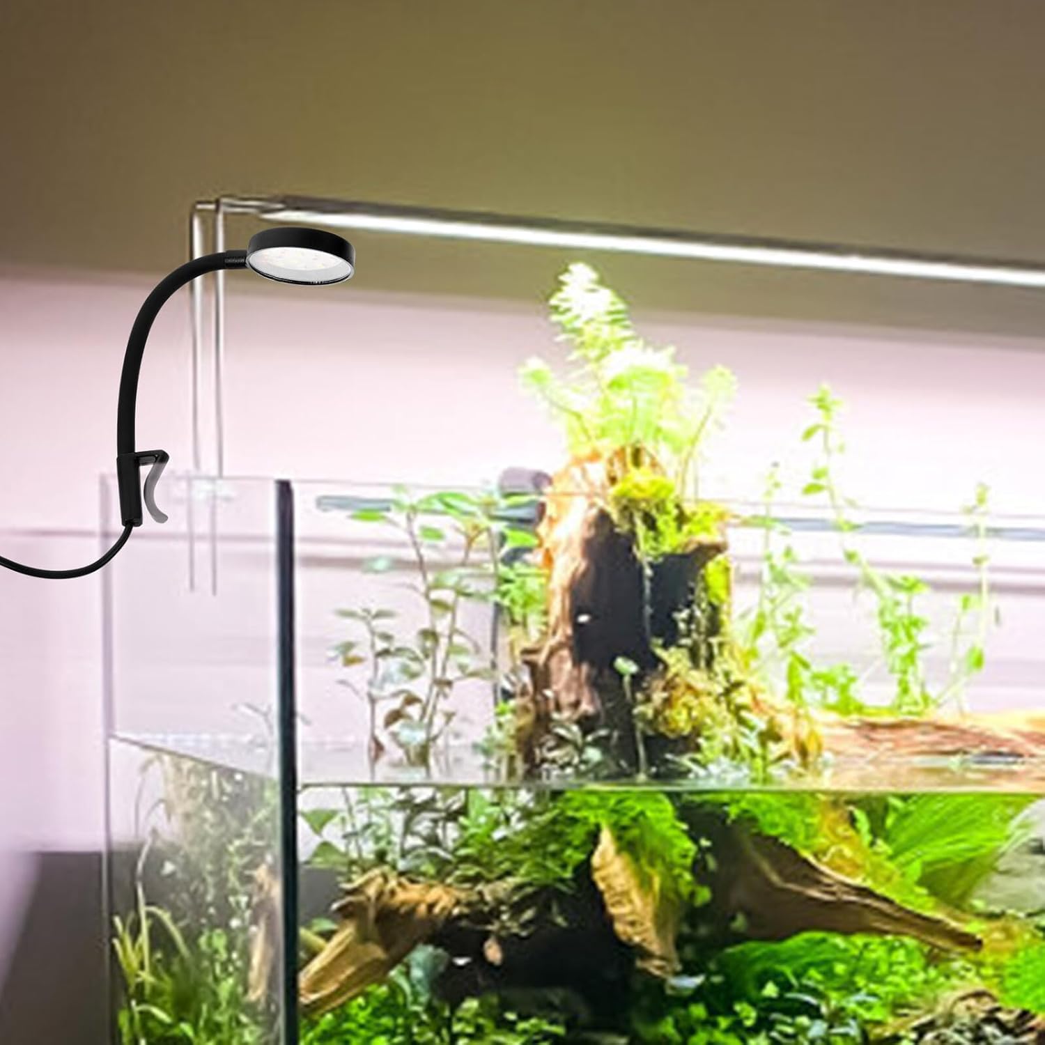 FRCOLOR Aquarium Lamp LED Fish Tank Light USB Mini Aquarium Lighting for Freshwater and Tanks with Housing and Natural Color Restoration