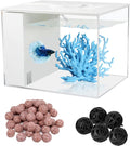 Fish Tank Betta Starter Kit 1 Gallon Desktop Small Aquarium Kit with LED Light and Filter Media & Water Pump– Compact Aquarium for Betta Fish, Small Fish, Shrimp, or Plants