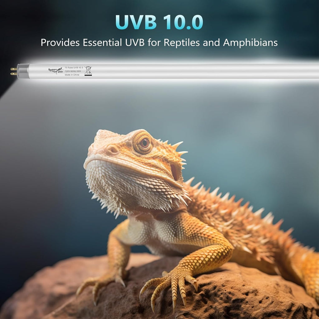 3-Pack UVB Reptile Light 10.0 Bulb 39W T5 Fluorescent Desert Lamp UVA for Bearded Dragon Tortoise Reptile & Amphibian