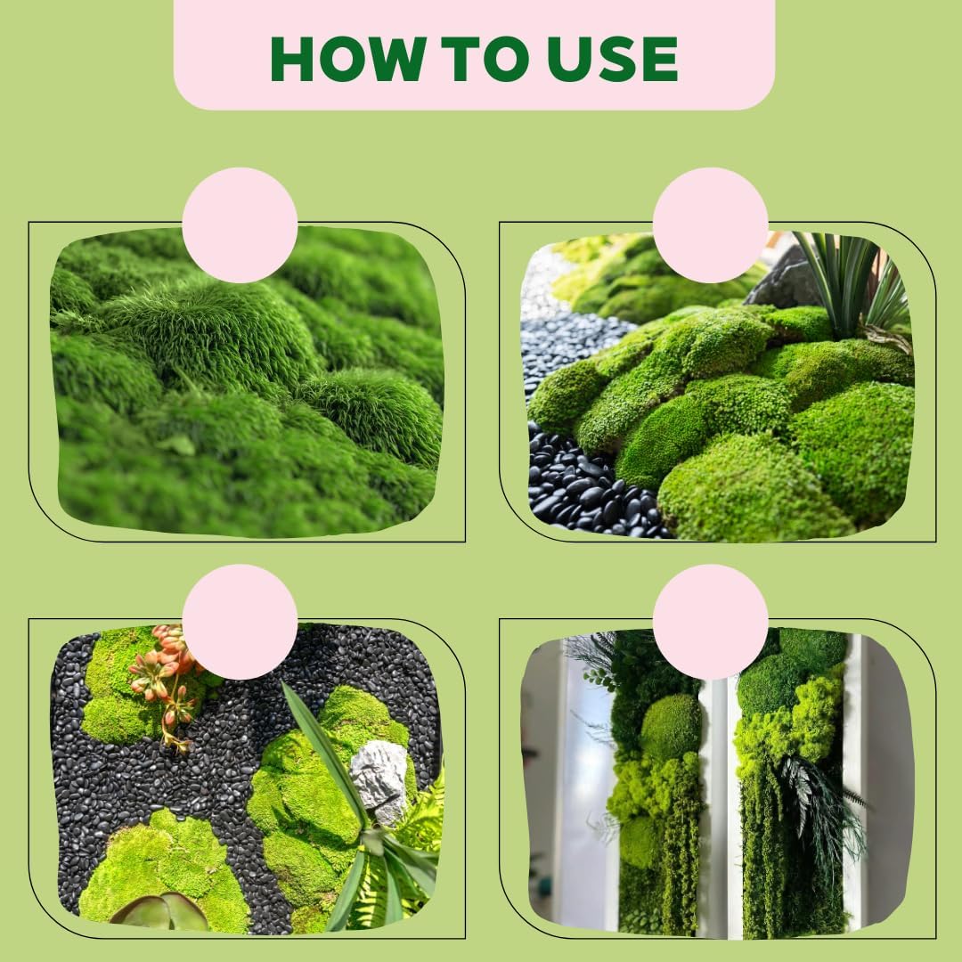 Preserved Moss for DIY Crafts - 1.5 sq.ft Natural Dried Moss for Terrarium, Fairy Garden, Home Decor, Wall Art, Floral Arrangements - Flexible Real for Creative Projects, Dark Green