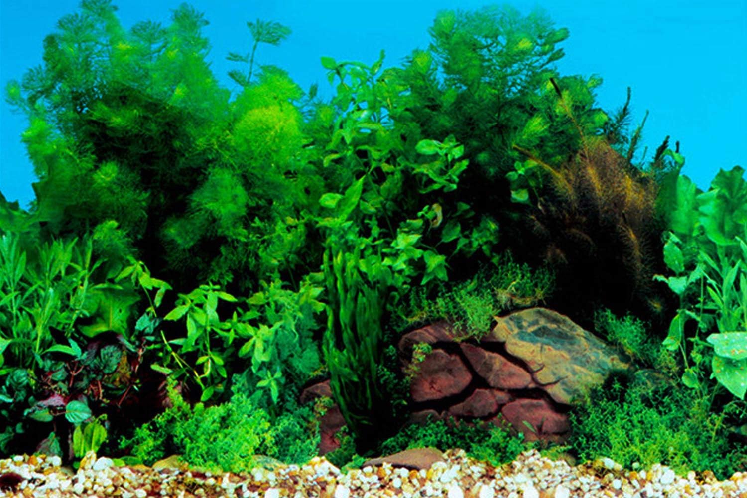 ELEBOX Fish Tank Stickers Wallpaper Seaweed Background Aquarium Background Decoration Water Plants Fish Tank Background 15.7"x 40"