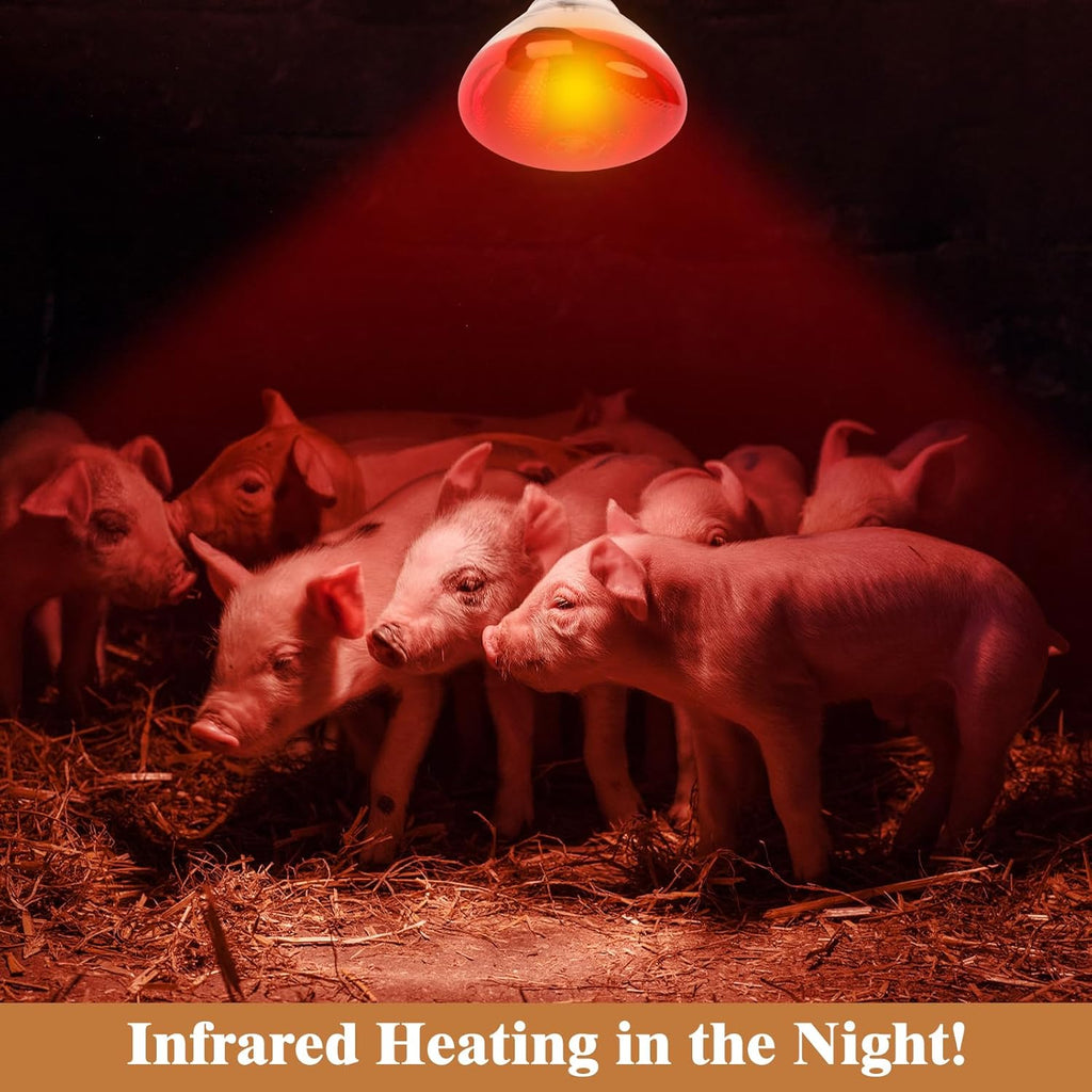 250W Red Heat Lamp Bulbs for Chicken,Infrared Flood Light Heat Lamp Bulb, Incandescent Light Heat Lamps for Chicks, Reptile, Pets, Par38 Glass E26 Base