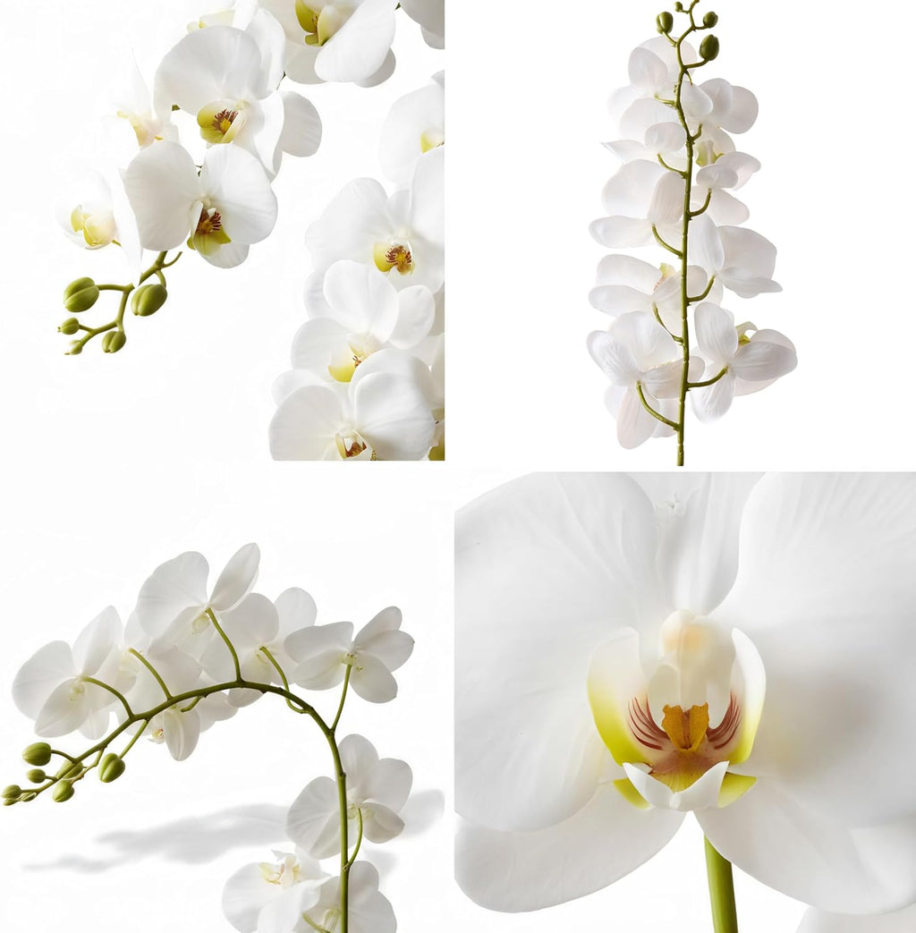 2Pcs White Orchids Artificial Flowers 38" Long Stem Fake Orchid,Real Touch Latex Faux Phalaenopsis with 9 Large Orchids for Home Décor Centerpiece Arrangements