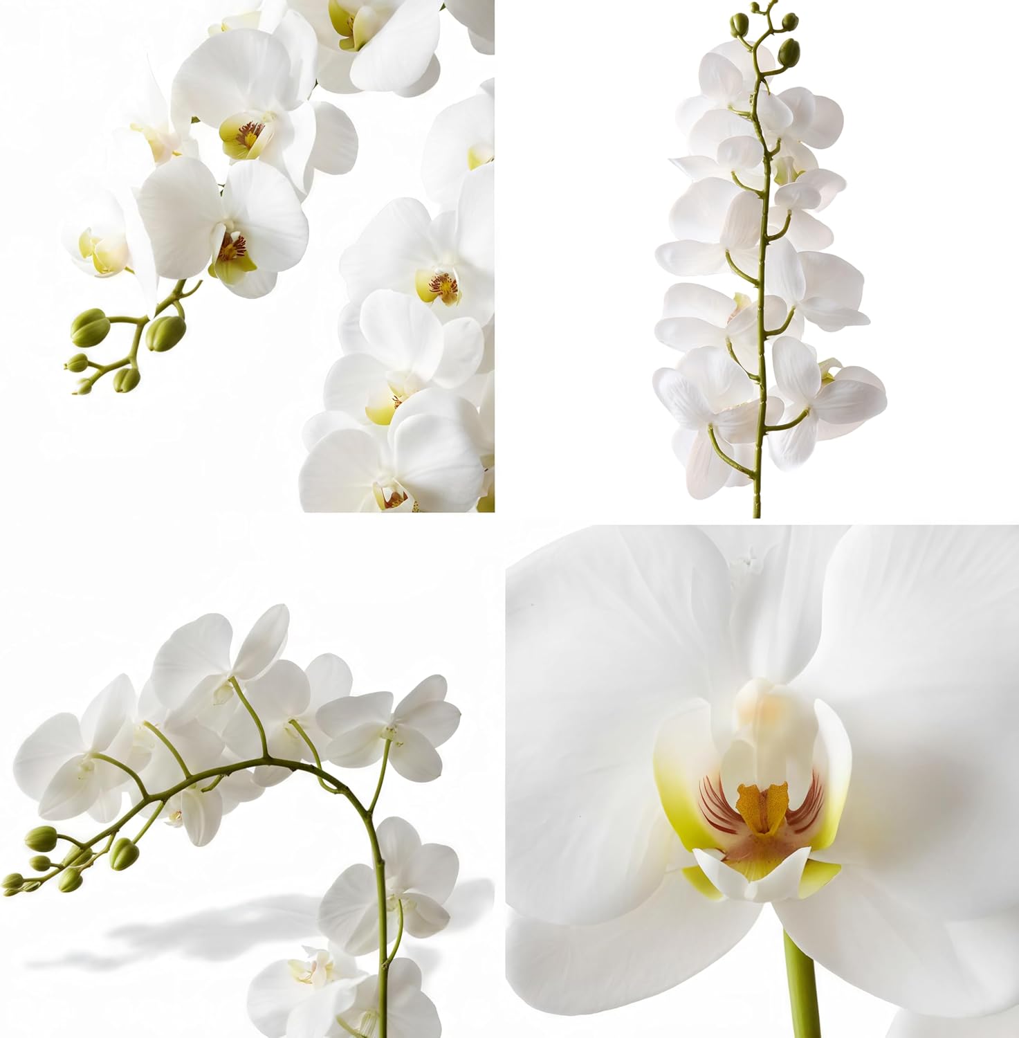 2Pcs White Orchids Artificial Flowers 38" Long Stem Fake Orchid,Real Touch Latex Faux Phalaenopsis with 9 Large Orchids for Home Décor Centerpiece Arrangements