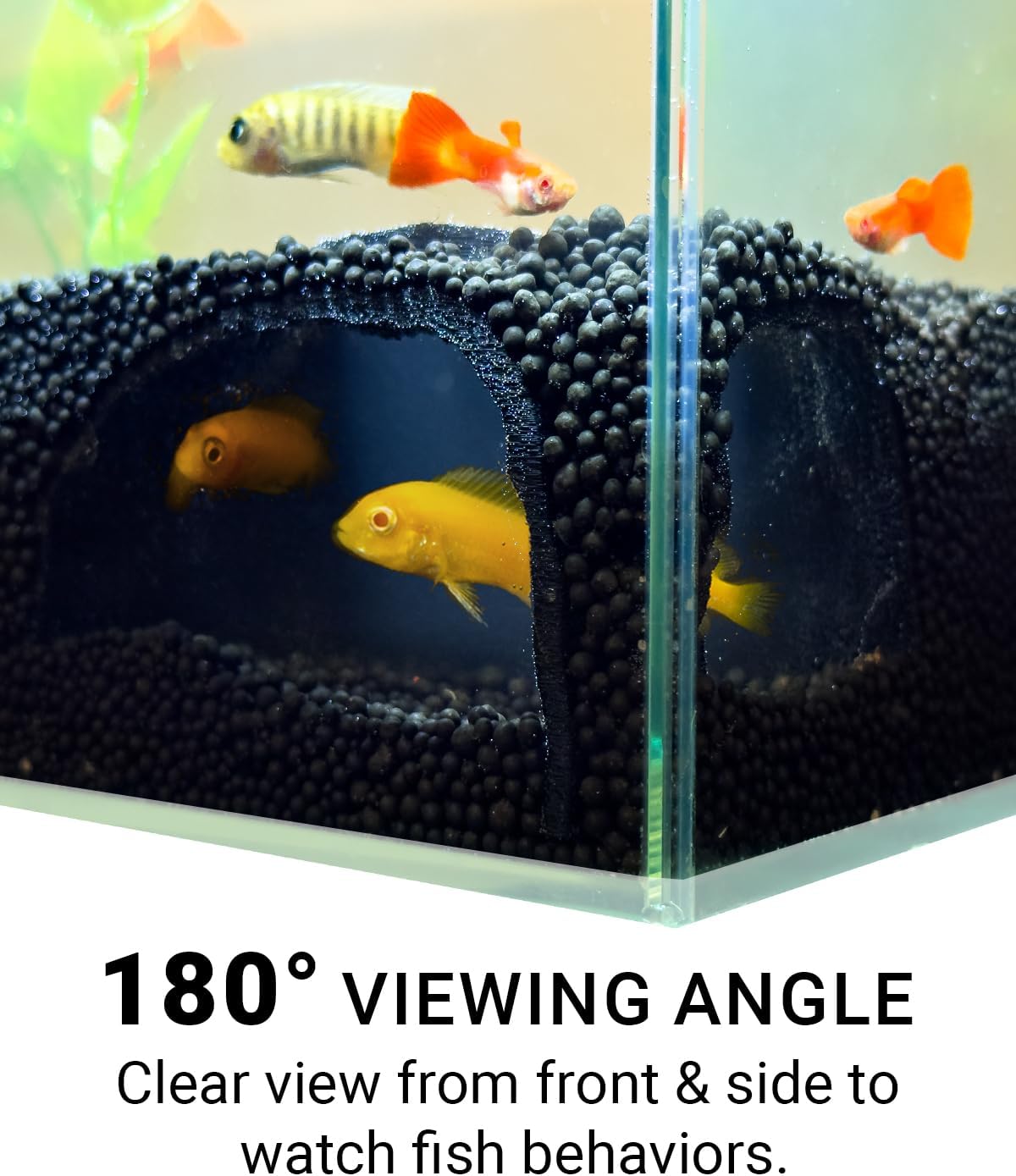 Aquarium Cave – Rock Texture Fish Shelter with 180° Viewing Angle, Fits Fish Tanks for Pleco, Betta, Loaches, Shrimp & Snails – Aquarium Decor & Tunnel (Black, Small)