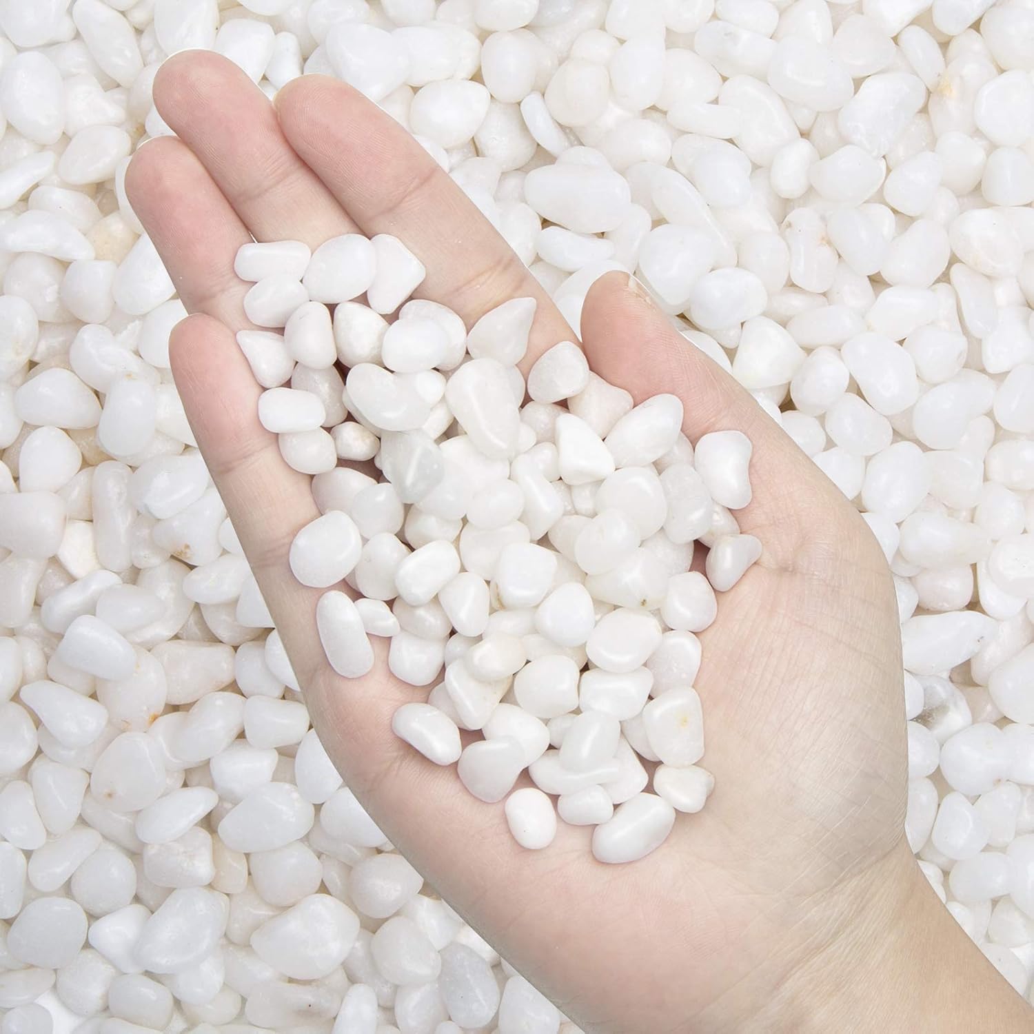 Natural Polished Decorative White Pebbles - Small Stones 3/8" Gravel Size,River Rocks Pebbles for Plants, Home DIY Decor,Aquarium Gravel,Vase Fillers,Fairy Garden,Landscaping Outdoor Stones
