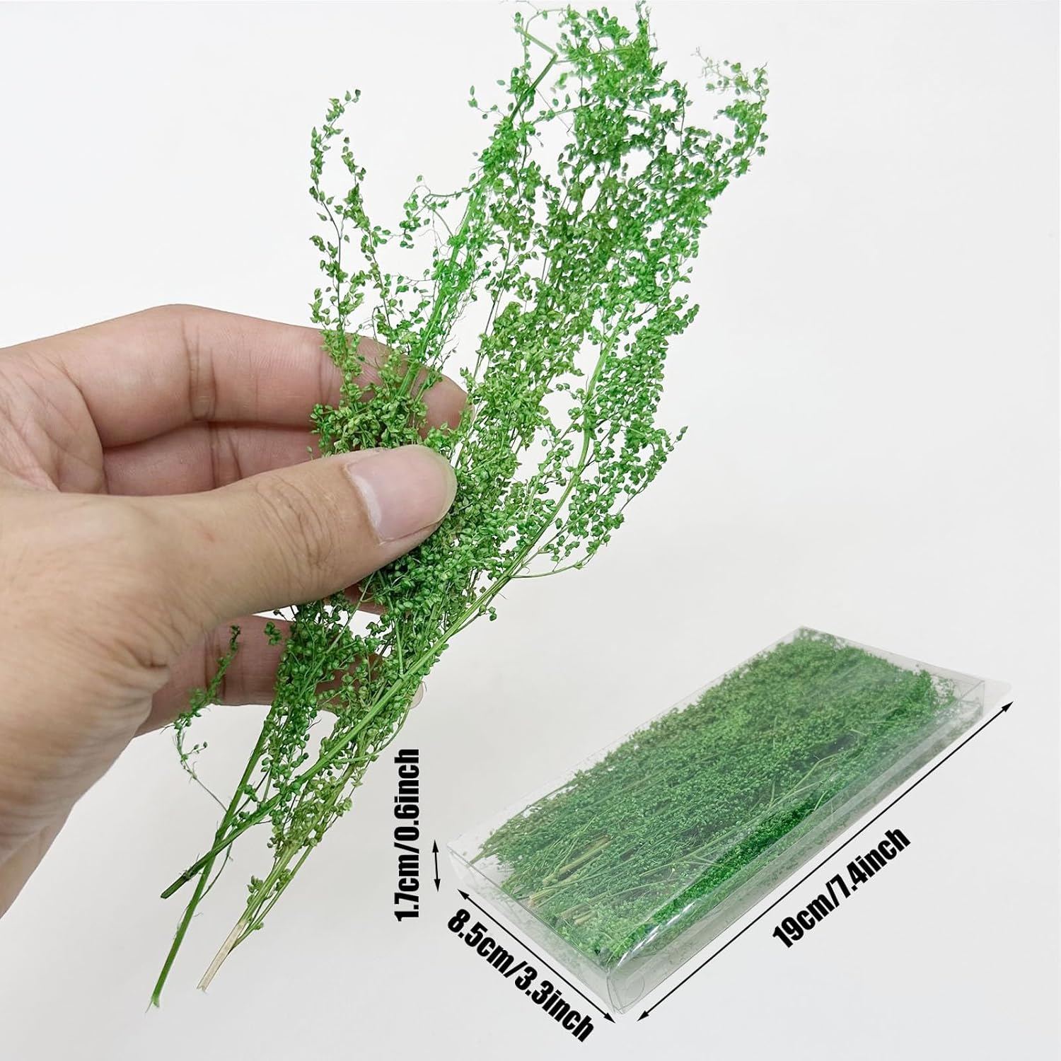 Woohome Static Grass Tuft Model Grass Tufts Railway Artificial Grass Bushy Tuft Flower Cluster Vegetation Groups for Model Train Landscape Railroad Scenery, Grass Green