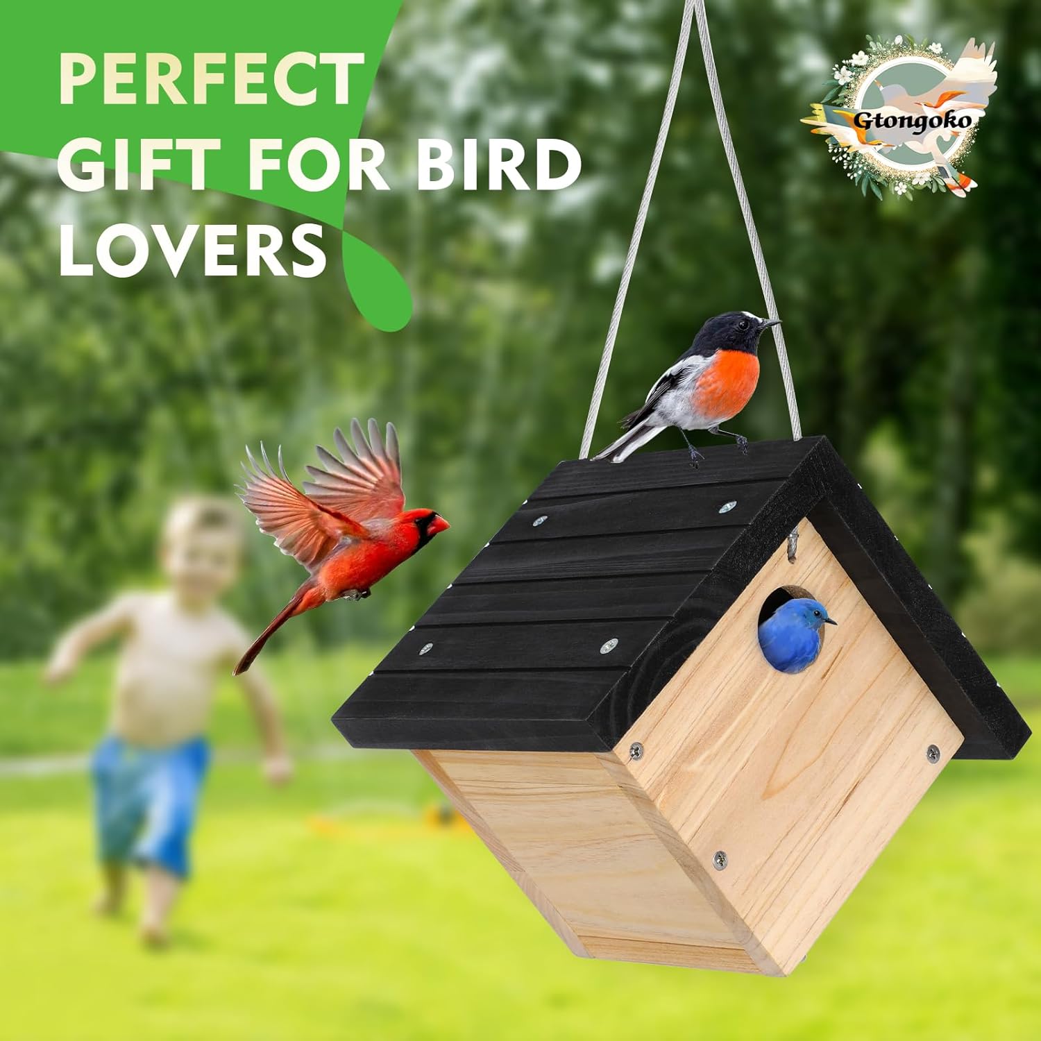 Gtongoko Hanging Wren Bird Houses for Outside, Cedar Wooden Bird Houses for Outdoors, Bird Nest with Air Vents, 1-1/8"Entrance Hole, Clean Door for Wildbird Watching, 1 Pack Black