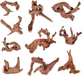 Natural Small Aquarium Driftwood for Fish Tanks & Reptile Terrariums – Safe Fish Tank Decorations, Unique Twisted Branches 10-Piece 2-4 Inch Low Tannin, Easy to Sink