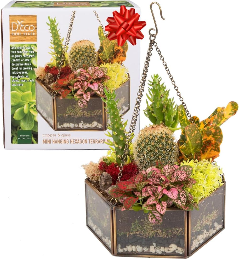 D'Eco Glass Mini Hexagon Display - Tabletop or Hanging Planter Terrarium for Home & Office Decor - Fill w/Succulents, Holiday Decorations, Mini Trees & Ornaments - Xmas Gift for Plant Lovers