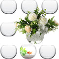 Sawysine 8 Pcs Bubble Bowl Vase Centerpiece 7.8''W X 6.3''H Round Glass Flower Vase Bulk Clear Terrarium Fish Bowl for Wedding Event Goldfish Planter Floral Centerpiece Office Home Decor