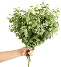 Ling's Moment Artificial Plants Eucalyptus Branches, 4Pcs 17.9" Tall Fake Greenery Filler Decor w/Stems, Realistic Texture Money Plant Leaves Decor for Room/Office, Wedding Bouquets/Table Centerpieces