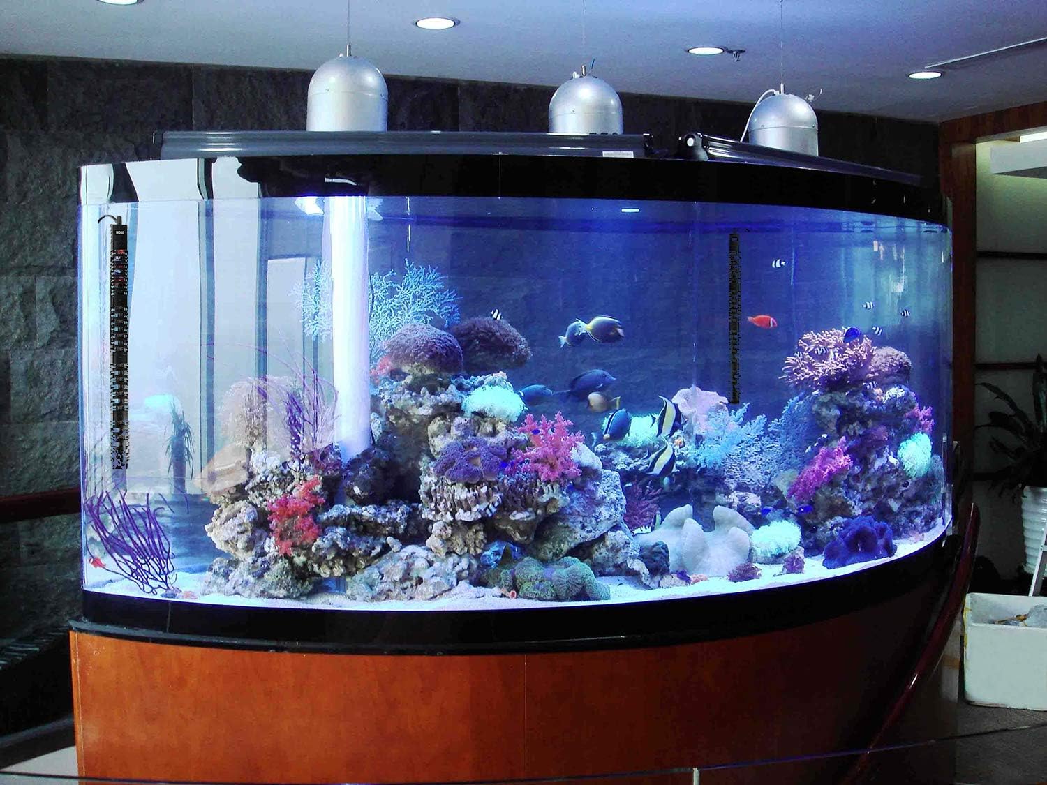 Aquarium Heater 100W/300W/500W Fish Tank Heater Submersible Auto Thermostat Turtle Tank Heater 10-90 Gallon with Protective Sleeve and 3 Suckers
