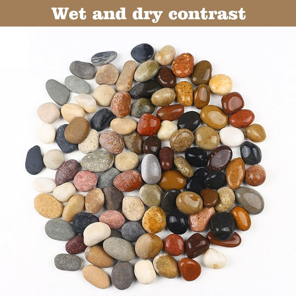 Decorative Natural River Rocks 20 LBS - 1-2 Inch Mexican Beach Pebbles for Landscaping, Garden, Walkways, Plant & Outdoor Decor