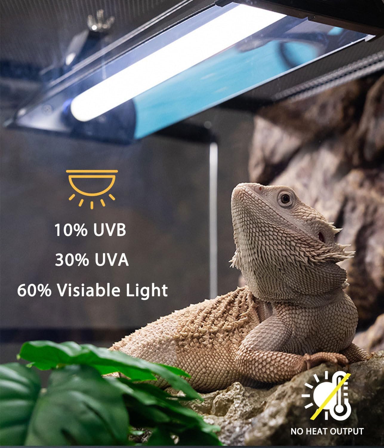 T5 UVB Reptile Light Fixture Combo Kit - 12 Inch 8W Terrarium Hood 10.0 UVA UVB Bulb with High-Efficiency Reflector for Desert Reptiles & Amphibians (Bearded Dragons, Turtles, Tortoises)