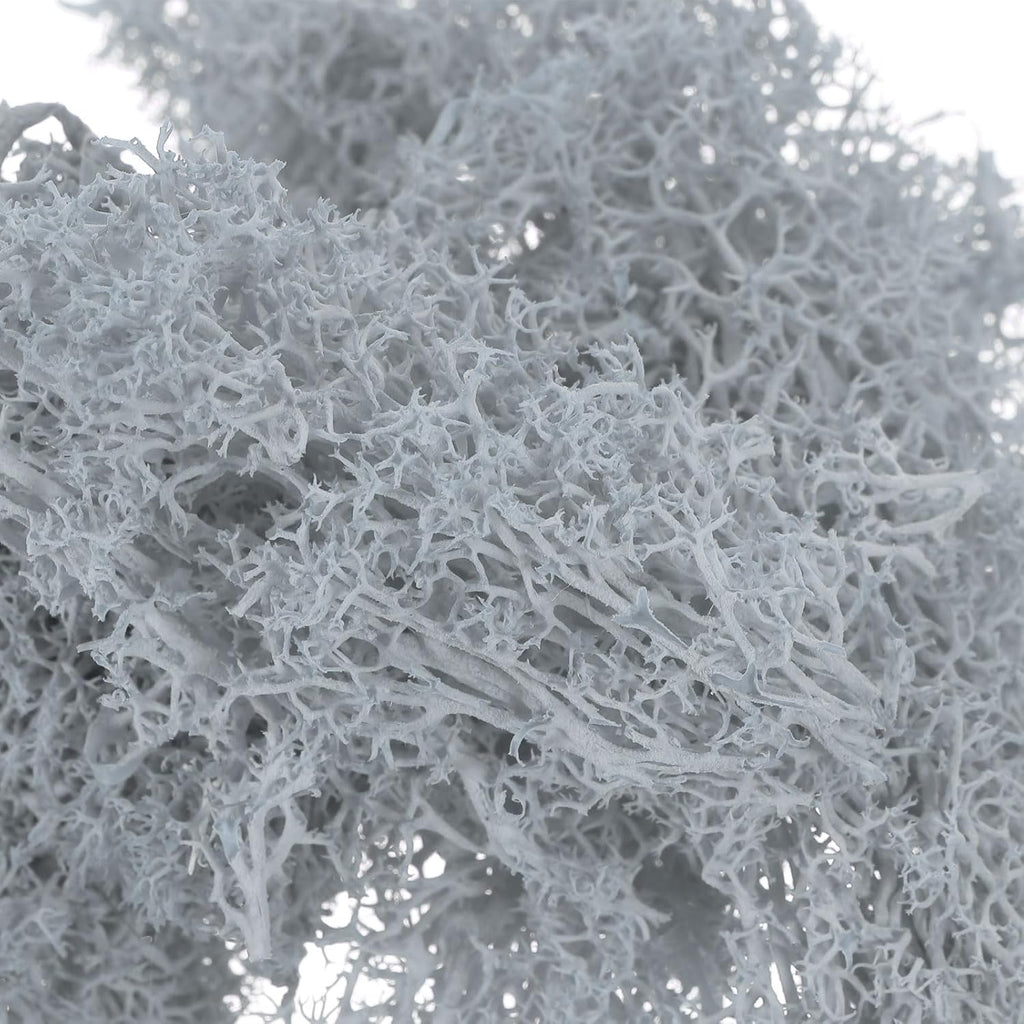 PATIKIL 3.5 OZ Fake Moss, Preserved Reindeer Moss Artificial Moss Lichen Centerpieces Decor Faux Moss for Potted Plants Christmas Crafts, Light Gray