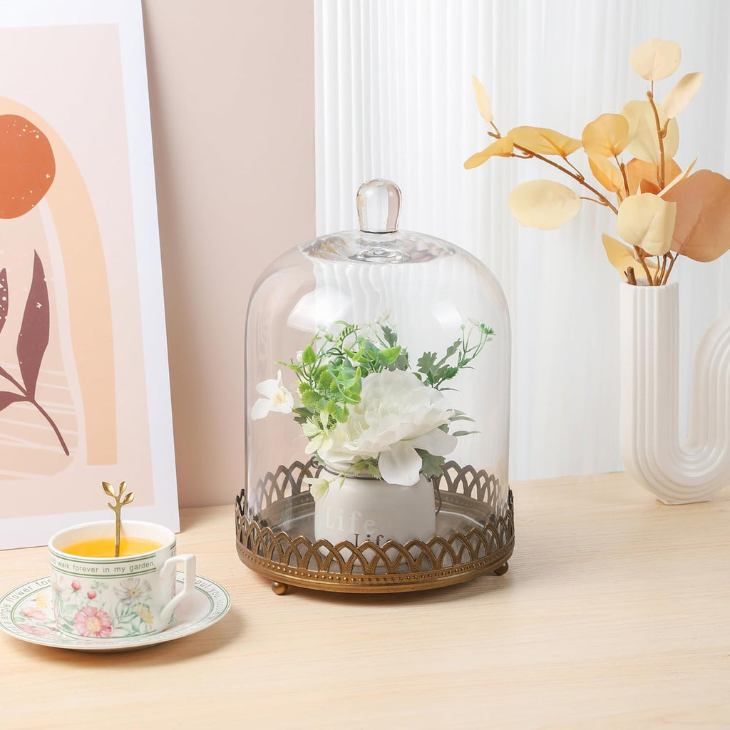 Twakutwku 12" Tall Large Sturdy Handmade Glass Cloche Dome with Metal Base in Gold for Plant, Terrarium, Collectibles, Candle. Cloche Glass Dome, Bell Jar Display Case (Gold, 12")