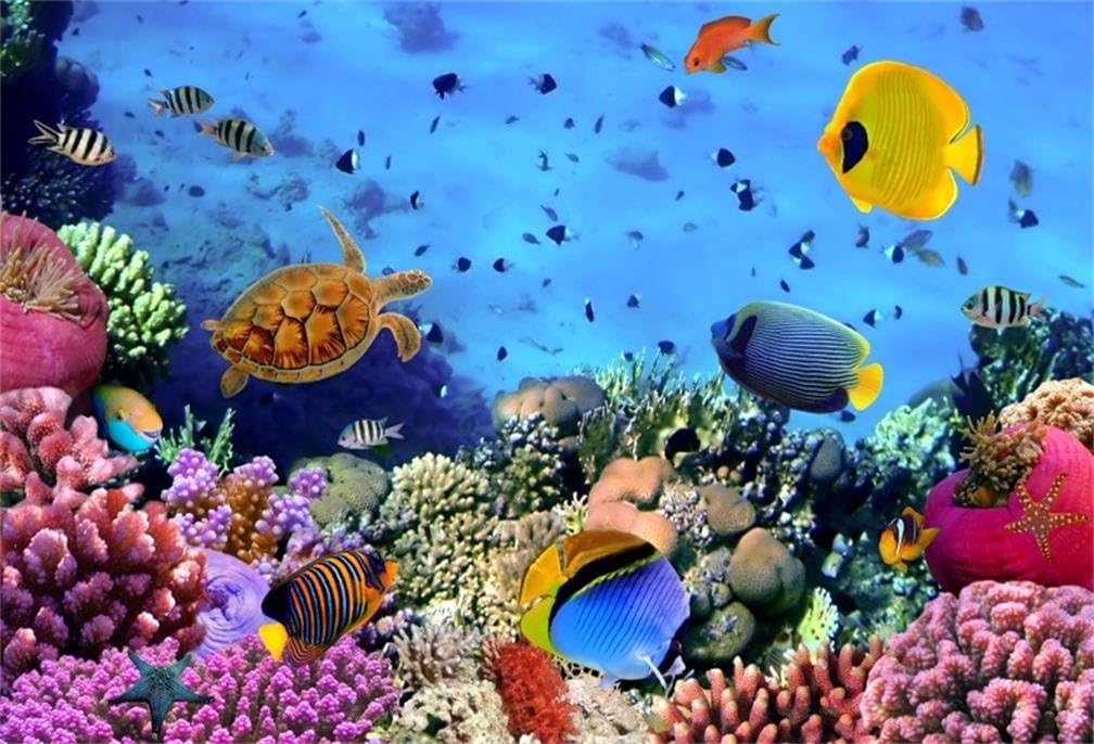 AOFOTO 6x4ft Underwater Ocean Coral Reef Backdrop Under The Sea Tropical Fish Sea Turtle Marine Life Photography Background Seabed World Nature Scene Aquarium Decor Kids Portrait Photo Shoot Props