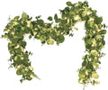 Dolicer 2 Packs 6FT Artificial Eucalyptus Garland with LED Light String, Faux Greenery Garland Hanging Fake Silver Dollar Eucalyptus Leaves Vines for Wedding Backdrop Arch Table Wall Party Home Decor