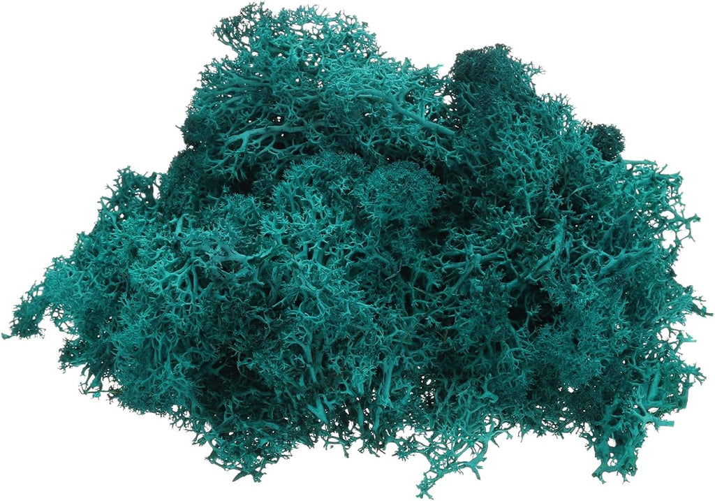 UXcell Preserved Reindeer Moss, 4oz Fake Moss for Crafts, Terrariums, Potted Plants, Centerpieces, Fairy Gardens (Deep Green, Rustic, Natural, Textured)