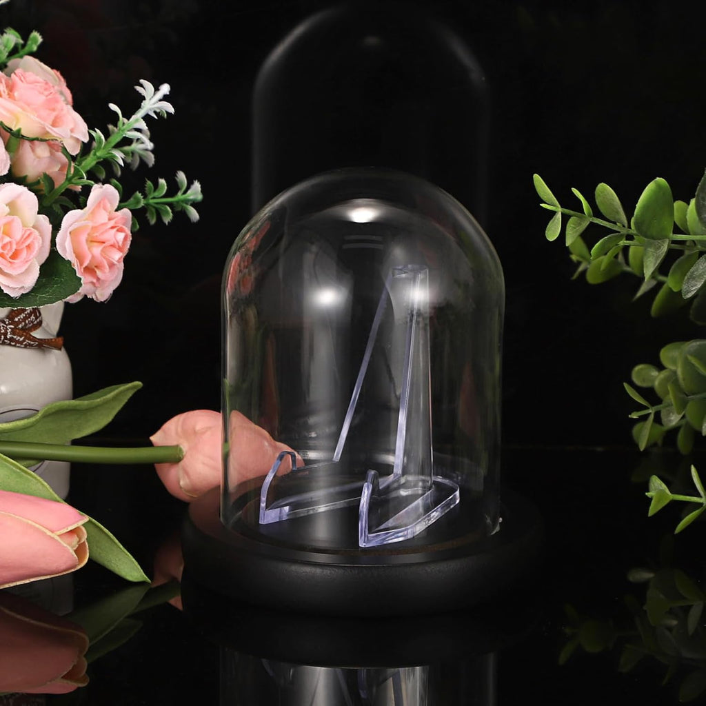JUXYES Clear Watch Glass Display Dome Cloche with Display Stand, Clear Terrarium Jar Cloche Bell with Wooden Base, Glass Display Dome for Pocket Watches Medals Coins Ornaments