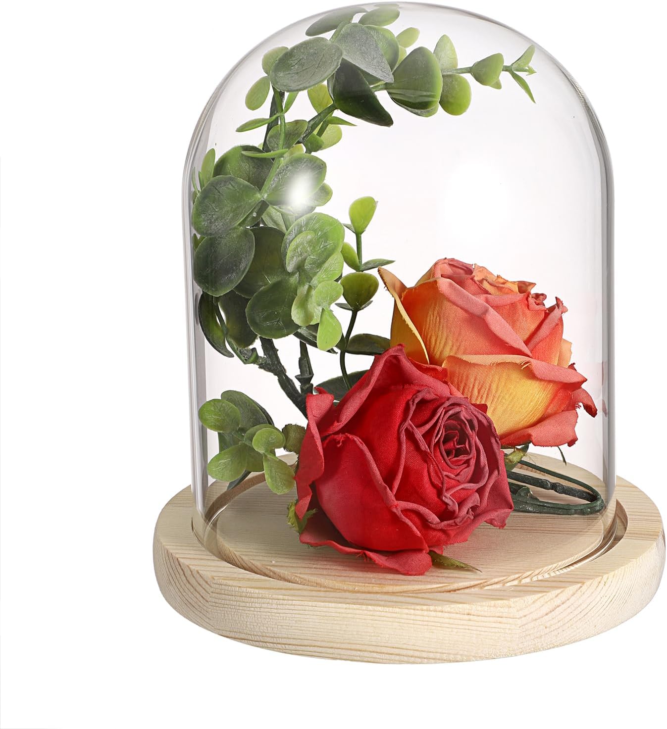 JUXYES Clear Glass Display Dome Cloche with Solid Wood Base, Transparent Dome Cloche Bell Terrarium Jar Glass Dustproof Display Stand for Plants, Collectibles and Figurines