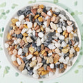 3Lb Pebbles for Indoor Plants,River Rocks for Succulent Plants,Aquarium Gravel,Decorative Stones Bonsai Garden Pebbles,Aquarium Rocks for Landscaping,Plants,Vase Fillers (Grey & White)