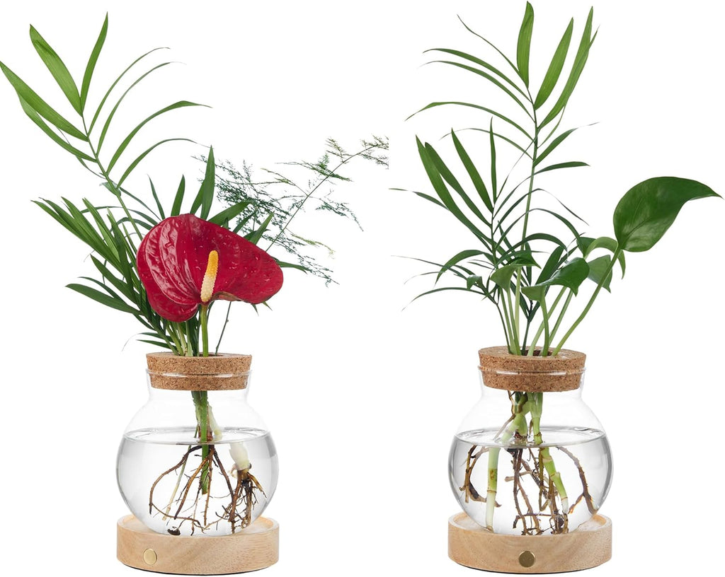 Plant Propagation Station with Wooden Saucer, Glass Terrarium with Stepless Dimming Function Hydroponic Glass Container Vase Jars Gardening Gifts for Mom Women Plant Lovers(2 Pack)