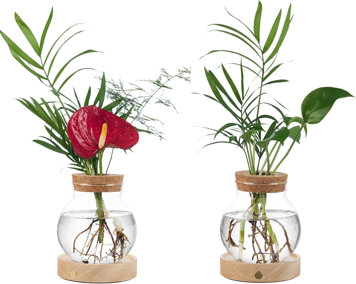 Plant Propagation Station with Wooden Saucer, Glass Terrarium with Stepless Dimming Function Hydroponic Glass Container Vase Jars Gardening Gifts for Mom Women Plant Lovers(2 Pack)
