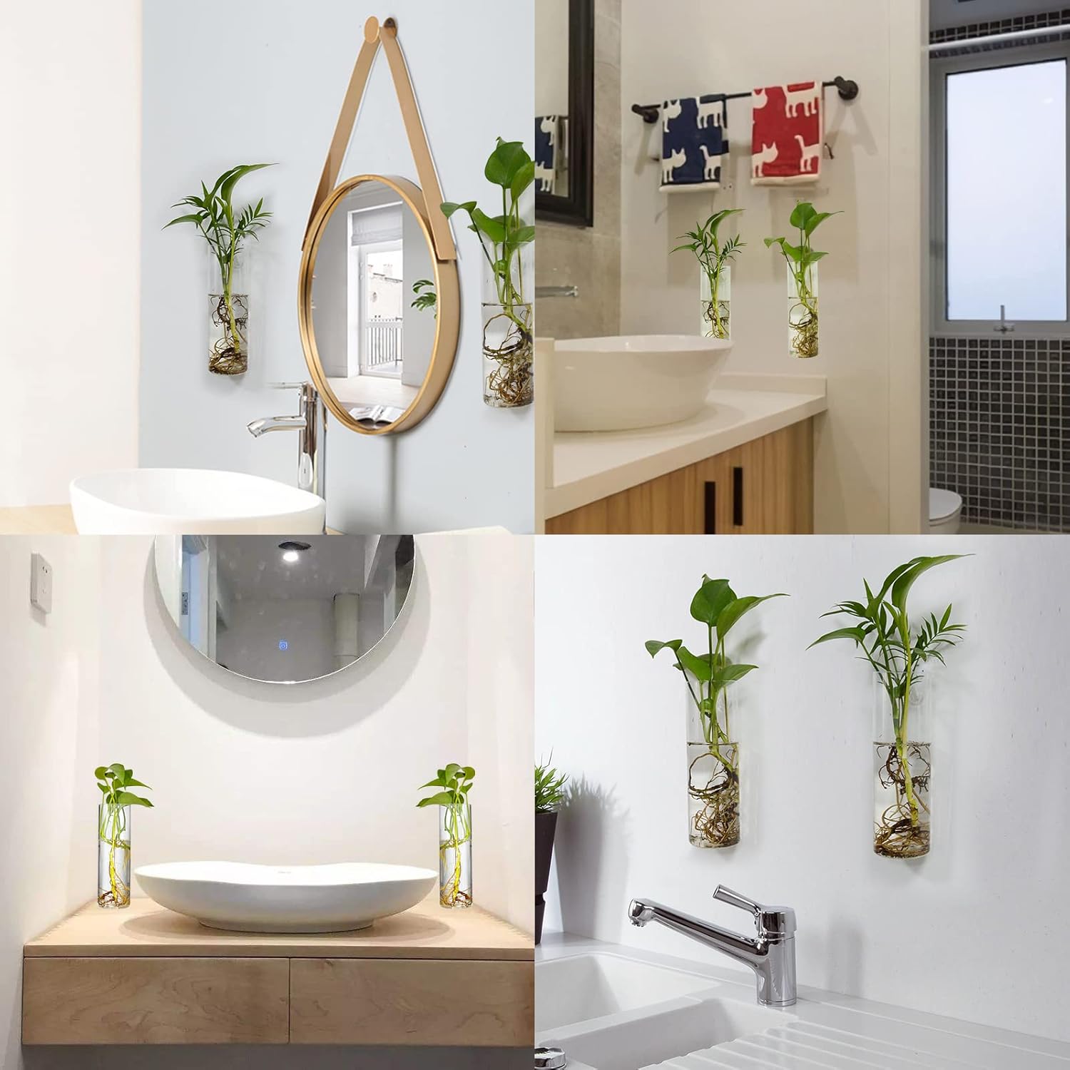 QUELIEN 2 Pack Glass Wall Planter Propagation Station - Wall Hanging Glass Vases for Plants,Plant Terrarium Propagation Station, Unique Housewarming Gift for Plant Lovers