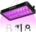 2024 Upgraded BW2000 LED Grow Lights Double Chips Full Spectrum with 10ft Cable for Greenhouse and Indoor Plant Veg and Flower Growing [Black]