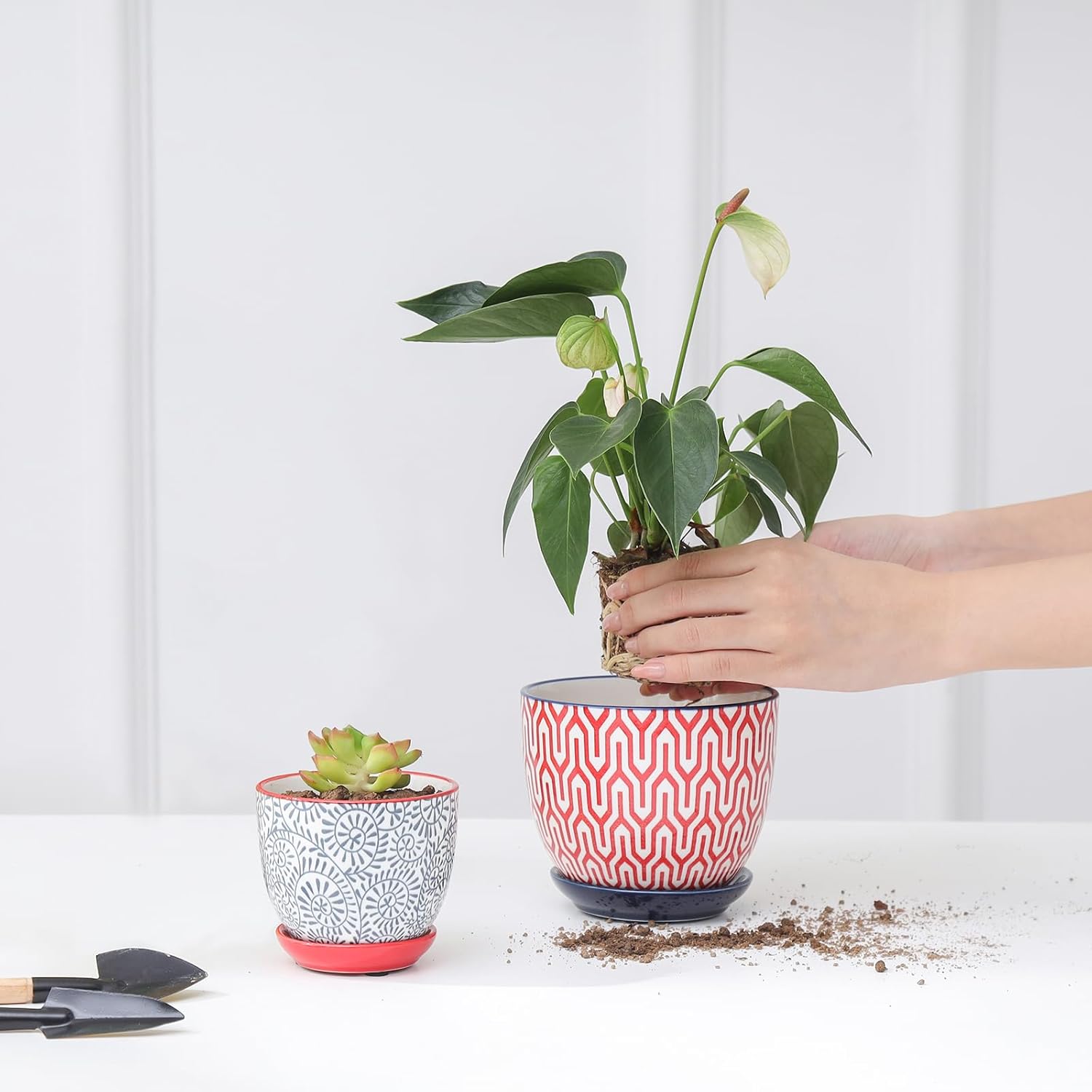 Selamica Ceramic Succulent Pots, 3.5 Inch Small Plant Pots for Indoor Plants Cactus Herbs, Succulent Planters with Drainage Holes & Saucers, Home Decor, Set of 6, Assorted Colors