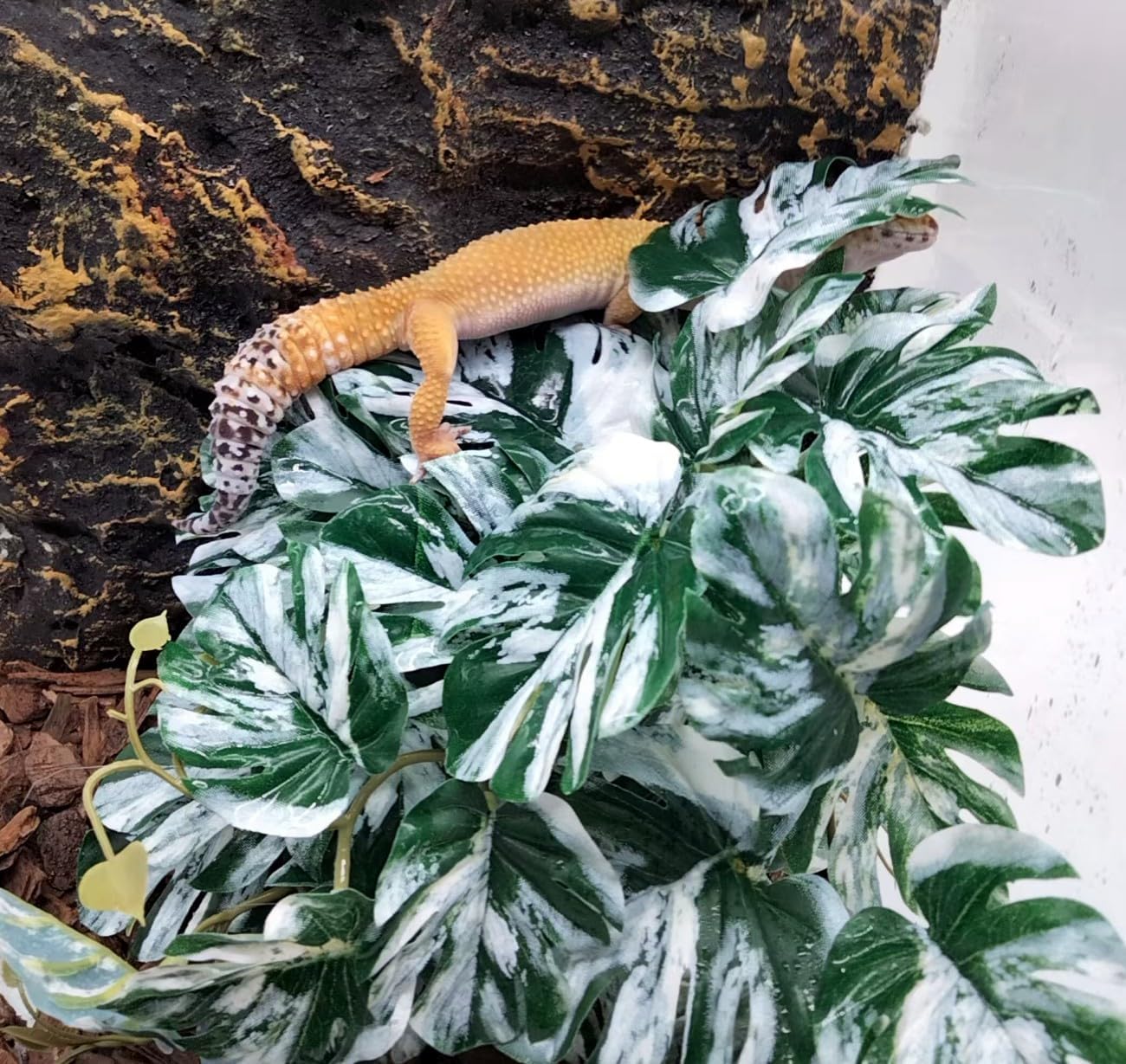 Reptile Fake Plants for Terrarium Artificial Tank Decor Accessories Suitable for Bearded Dragon Ball Python Crested Leopard Gecko Lizard Chameleon Snake-Monstera
