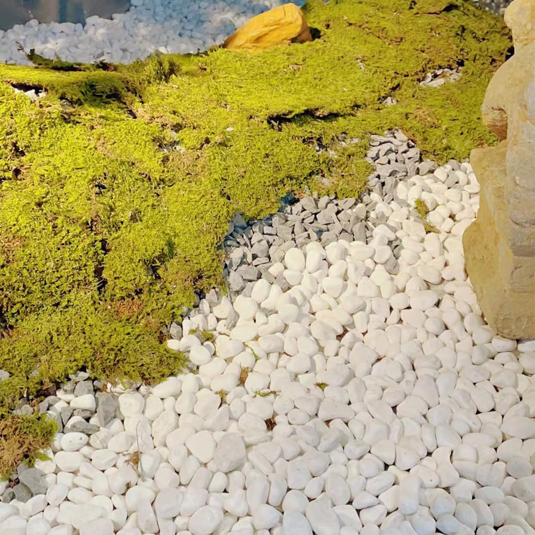 5lb White Pebbles for Indoor Plants, 1-2 Inch Natural River Rocks, Snow White Decorative Stones, Ideal for Fish Tank, Vases, Crafting, Home Decor and Garden Landscaping Rocks