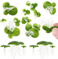 108pcs Plastic Duckweed Artificial Floating Duckweed Mini Fake Duckweed Simulation Floating Plants for Aquarium Fish Tank Decor