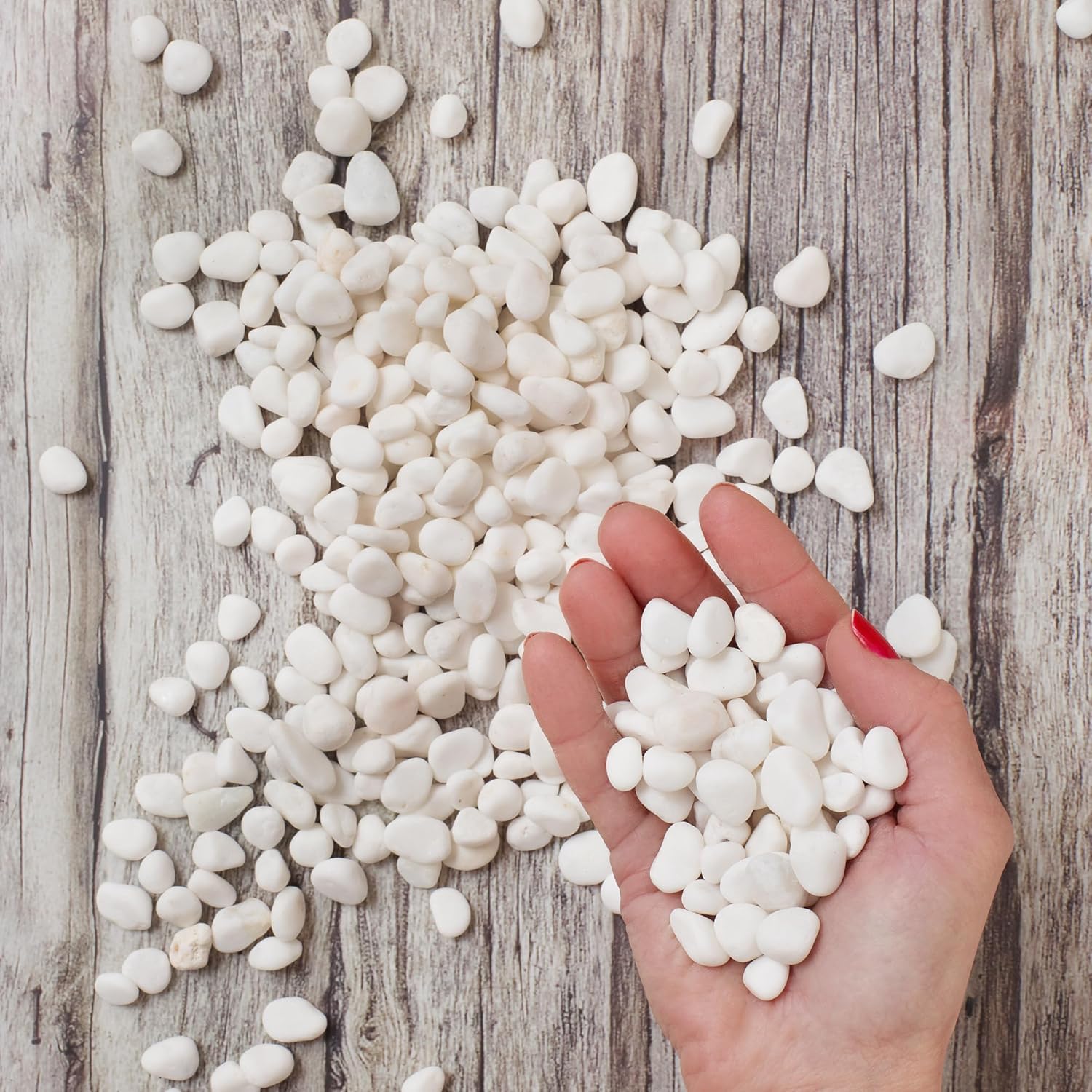 Royal Imports 30LBS River Rocks Decorative Ornamental Pebbles, Garden Landscaping Stones, Gravel Filler for Plants, Vases, Succulents, Home Decor, Aquariums, Crafting, Animal Habitat - Small White