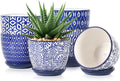 Selamica Ceramic Succulent Pots, 4.6 Inch Small Plant Pots with Drainage Holes & Saucers, Succulent Planters for Indoor Plants Cactus, Home Decor, Set of 6, Vintage Blue