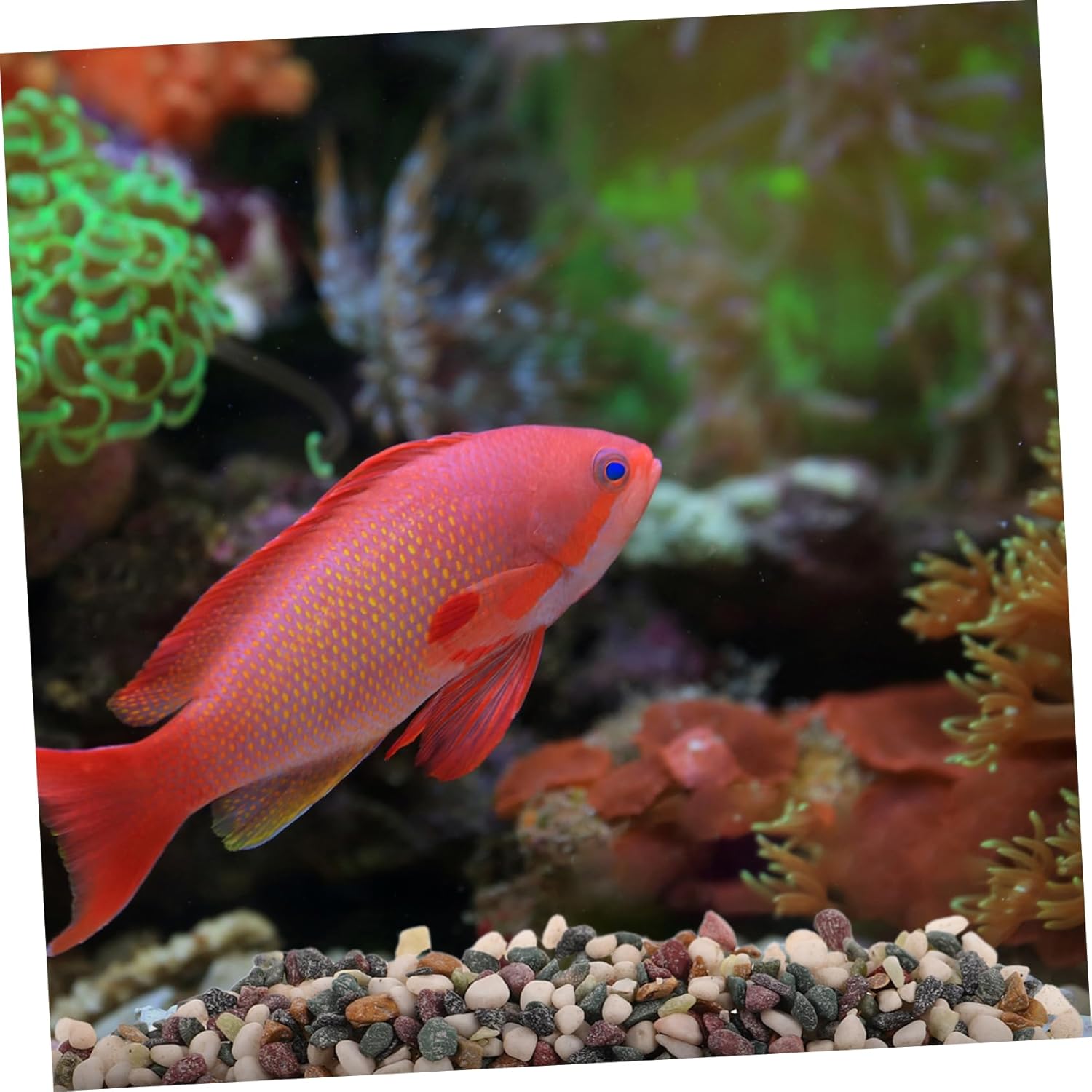 Happyyami Black Sand Aquarium Gravel Substrate Realistic Tank Stone Decor for Small Fish Tanks