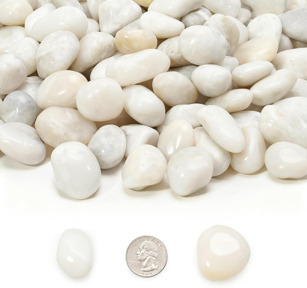 Mr. Fireglass 10lb White River Rocks, 3/8 inch Natural Decorative Polished Pebbles Aquarium Gravel Stones for Landscaping, Indoor Plants, Vase, Succulent, Fish Tank