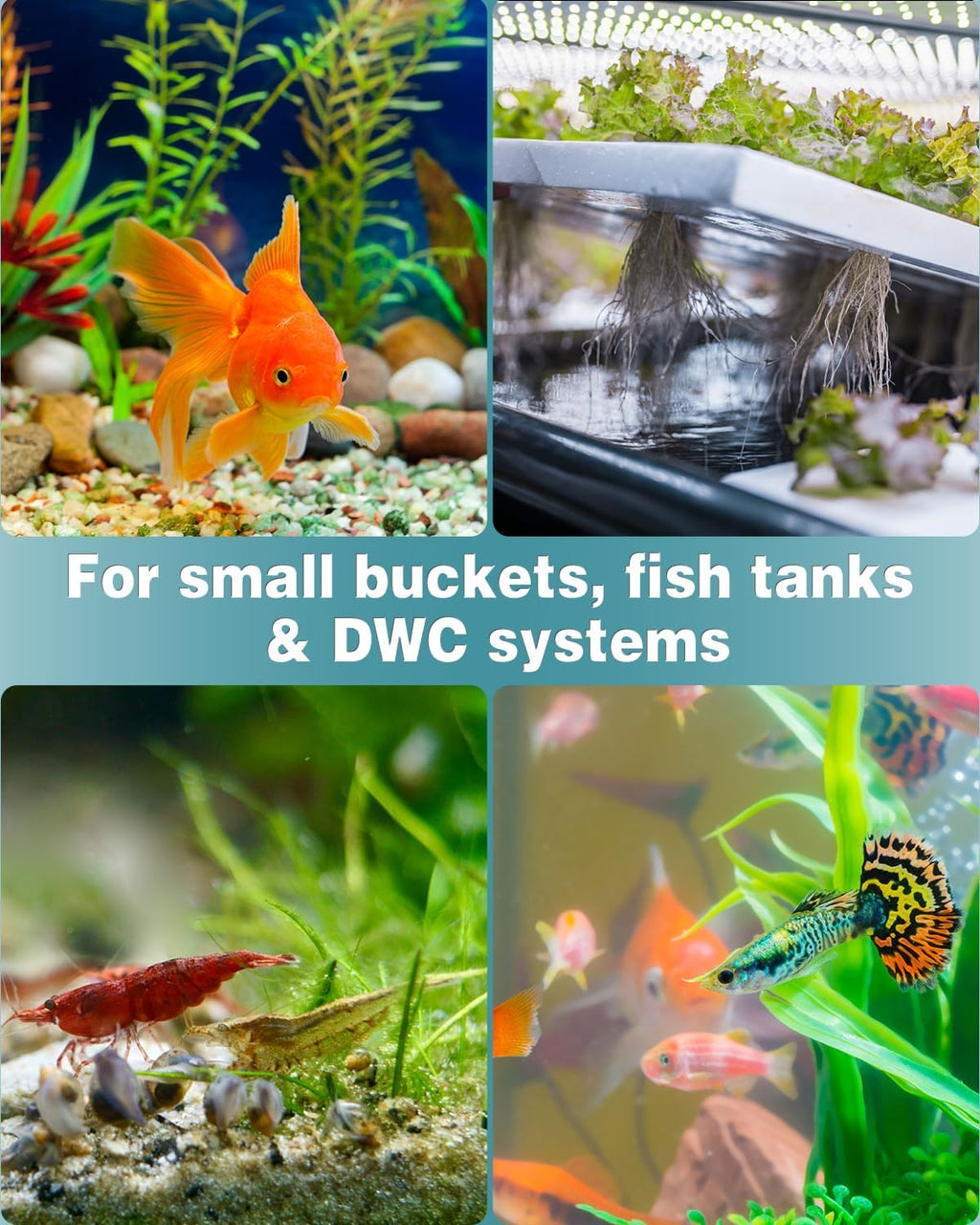 Pawfly 30 Pack 1 Inch Air Stone, Aquarium Air Stone Bubbler, Oxygen Diffuser for Fish Tank Bucket and Small DWC System, Cylindrical Bubble Release Tool for Air Pump Fish Tank