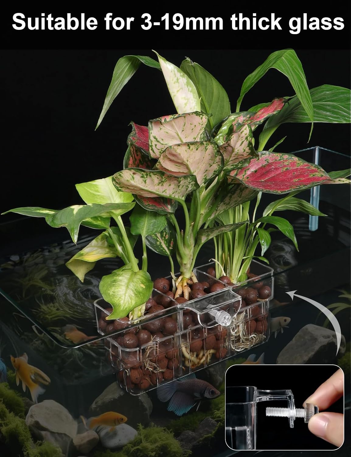 2 Pack Clear Aquarium Plant Holder Top Hanging Fish Tank Plant Holders Fits up to 0.8in Tank Edges, Aquarium Décor
