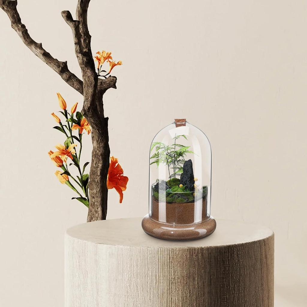 Baluue Glass Terrarium Clear Dome with Air Hole, 8.26 X 5.51 Inches, Plant Terrarium for Home and Office Decor, Transparent Glass Cloche for Moss and Fern