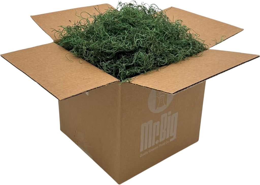Preserved Spanish Moss - Decorative Dried Moss for Crafts, Home Decor, Art, Design & DIY Projects - for Indoor Use - Forest Green - Standard Box - Covers 10-12 sq. ft.