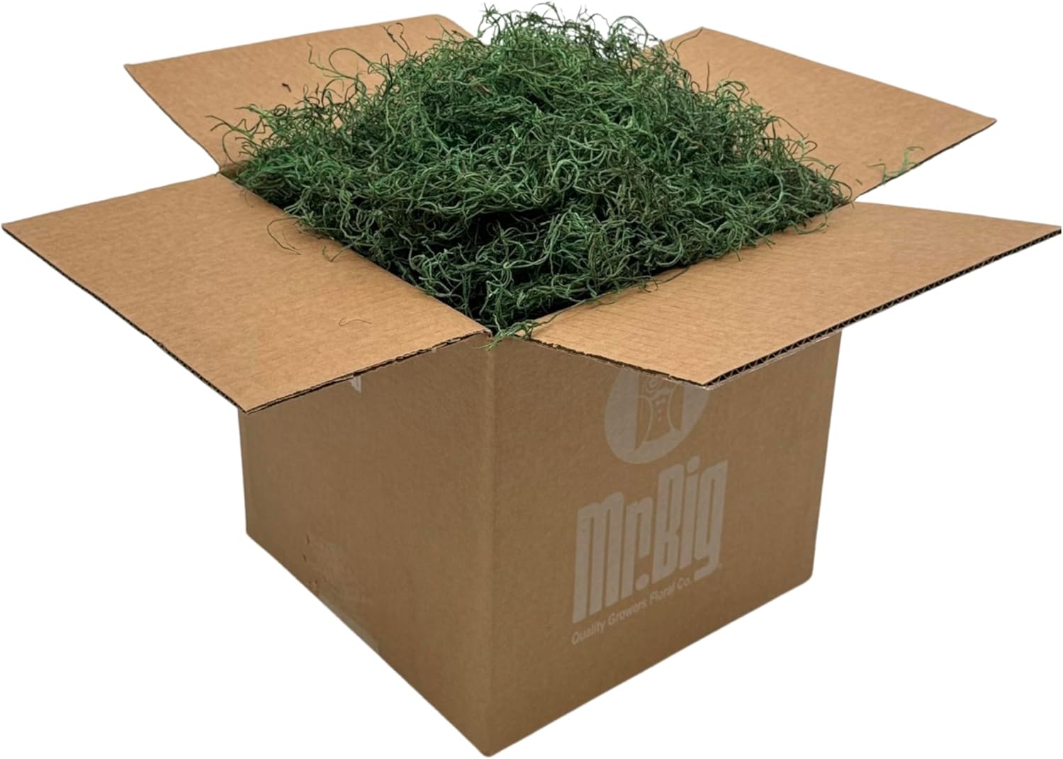 Preserved Spanish Moss - Decorative Dried Moss for Crafts, Home Decor, Art, Design & DIY Projects - for Indoor Use - Forest Green - Standard Box - Covers 10-12 sq. ft.