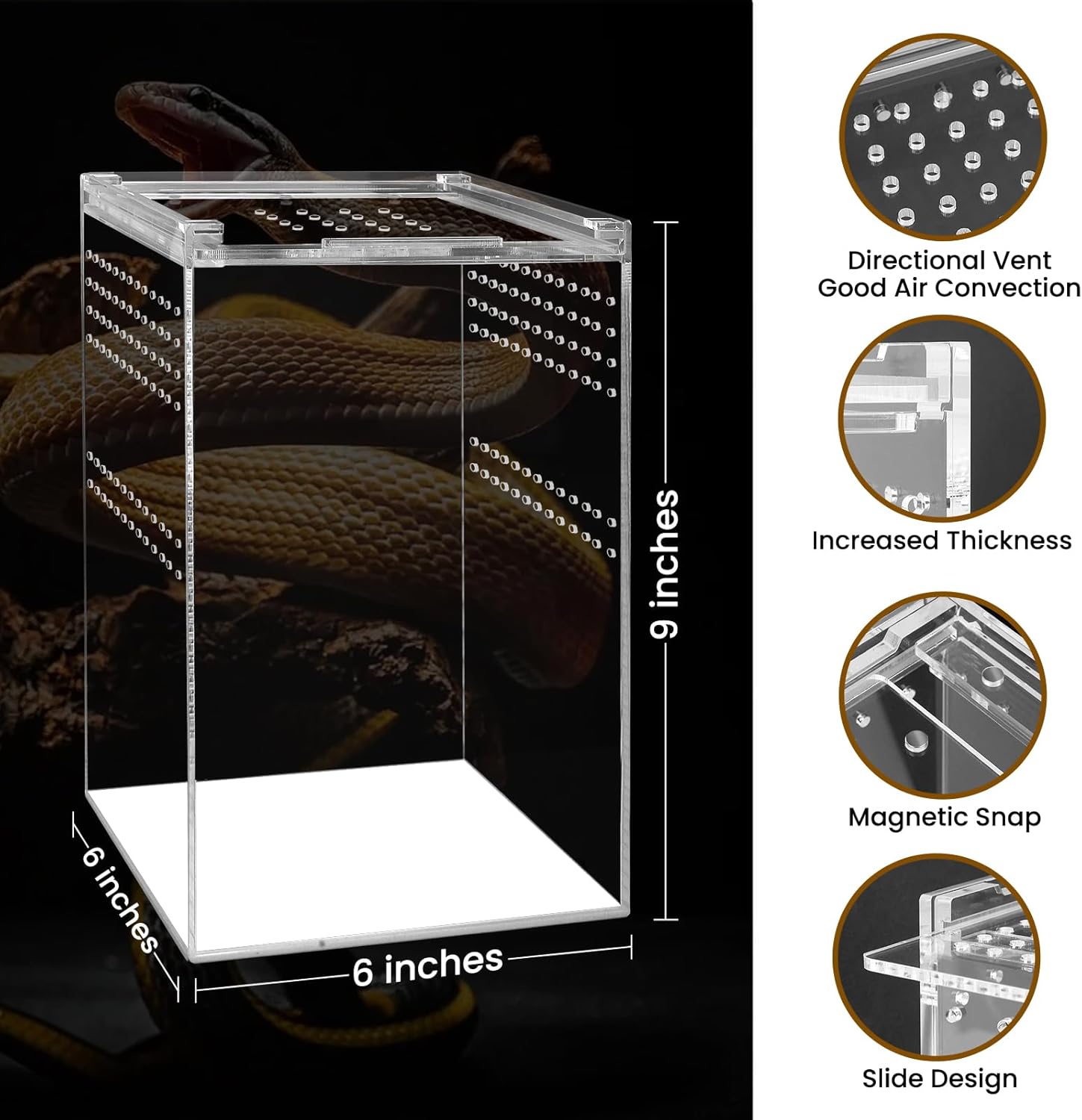 Jumping Spider Enclosure with Magnetic Button,6 * 6 * 8" Thickened Tarantula Reptile Enclosure，One-Piece Acrylic Reptile Terrariums for Spider,Praying Mantis,Tarantula,Snail,Isopod Enclosure
