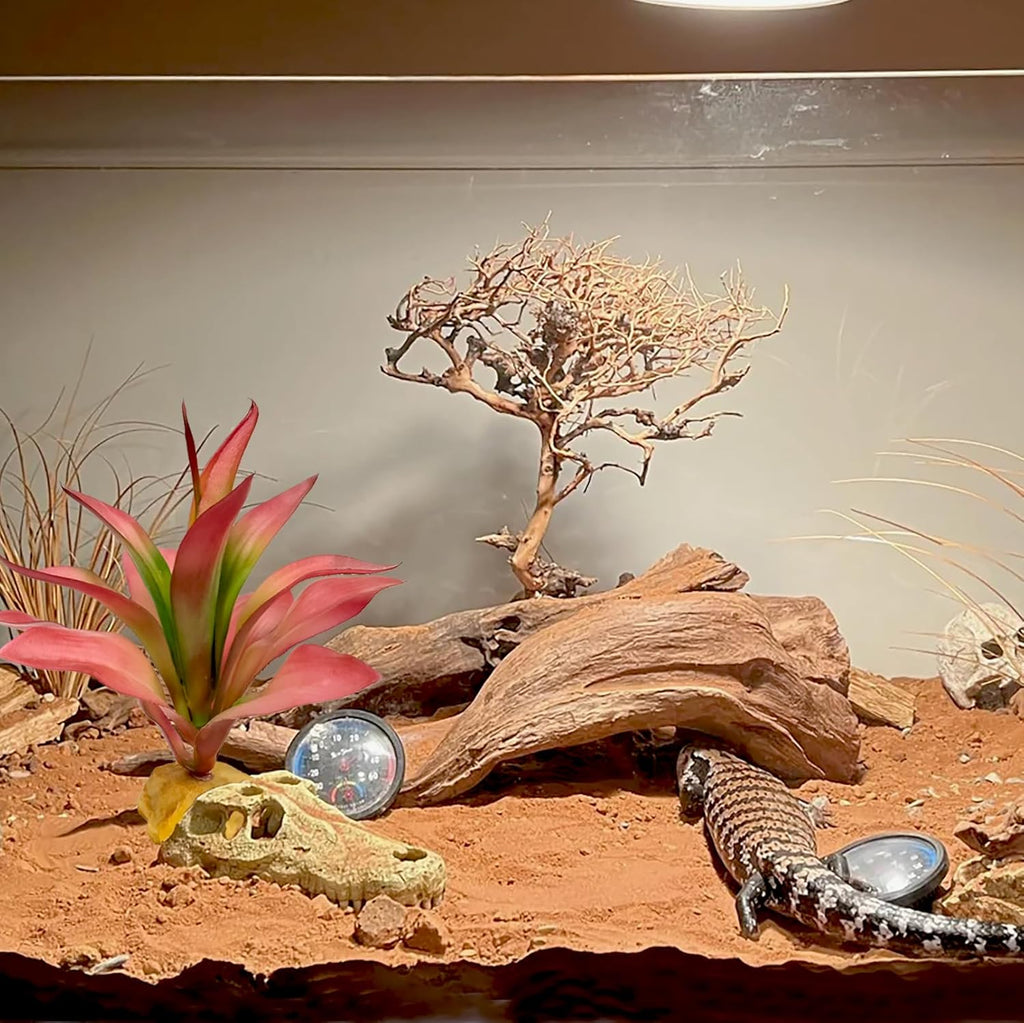 Woyrise Reptile Plants Succulent, Artificial Desert Plant for Terrarium Decor, Bearded Dragon Tank Accessories fit Gecko Lizard Chameleon Ball Python Snake - Guzmania lingulata