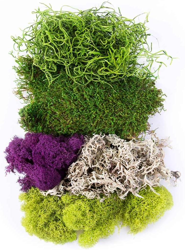 SuperMoss (23317) Moss Mix, Mixed, 120 Cubic"