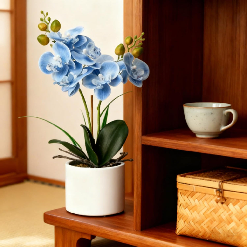 Jusdreen Artificial Blue Orchid in Ceramic Pot, Realistic Phalaenopsis Arrangement with Potting for Home Office Table Decor, 14.5 Inch Flower Centerpiece