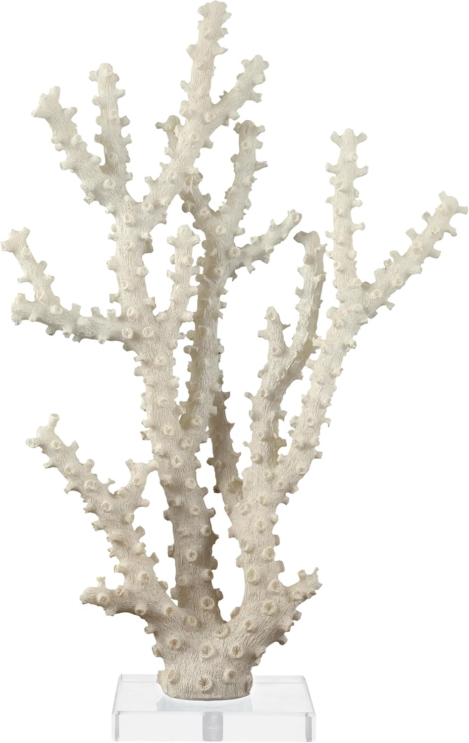 Deco 79 Polystone Coral Decorative Sculpture Home Decor Statue with Clear Acrylic Base, Accent Figurine 9" x 4" x 14", Cream