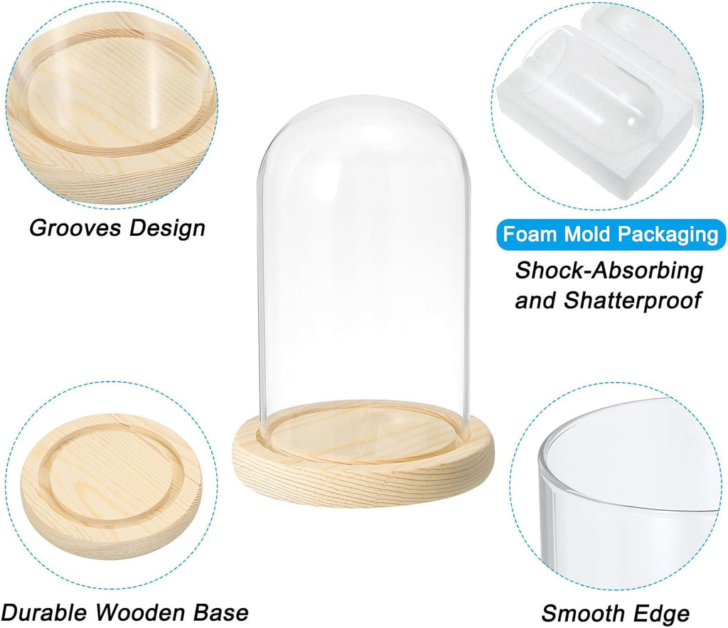PATIKIL 5.9"x3.5" Clear Cloche Glass Dome, Glass Bell Jar Display Case Tabletop Centerpiece with Wooden Base for Plants Home Decor